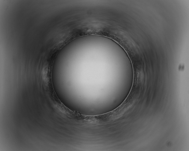 X0000103271250200809051459