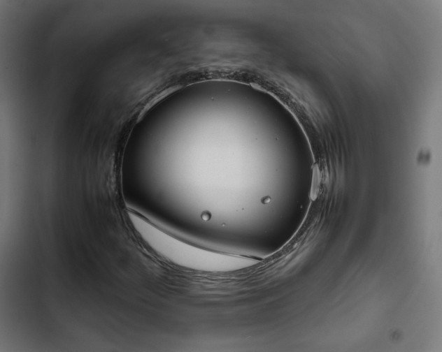 X0000103271252200809051459