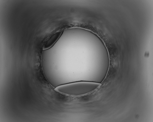X0000103271253200809051459
