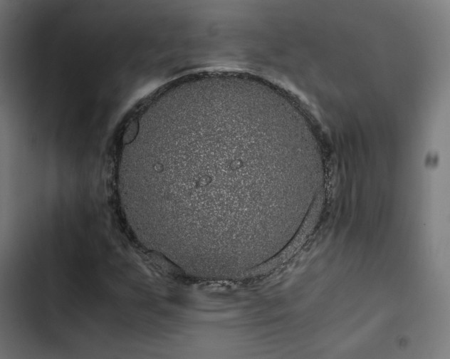 X0000103271255200809051459