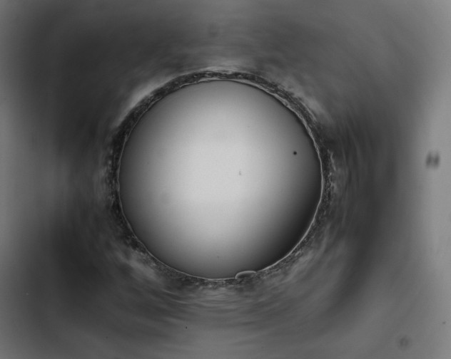 X0000103271256200809051459