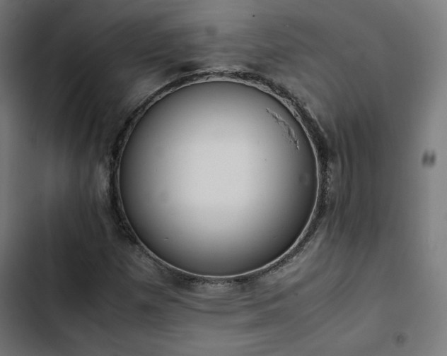 X0000103271257200809051459