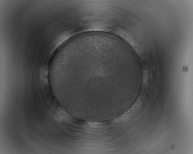 X0000103271258200809051459