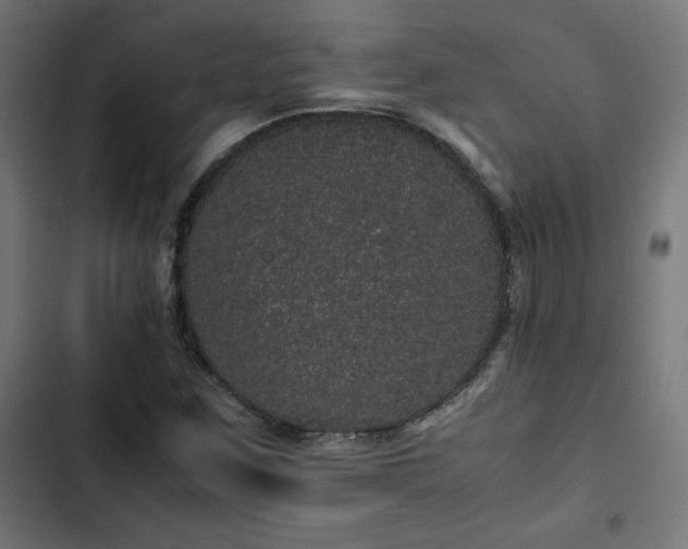 X0000103271259200809051459
