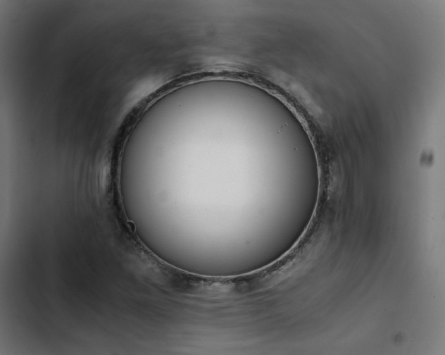 X0000103271261200809051459