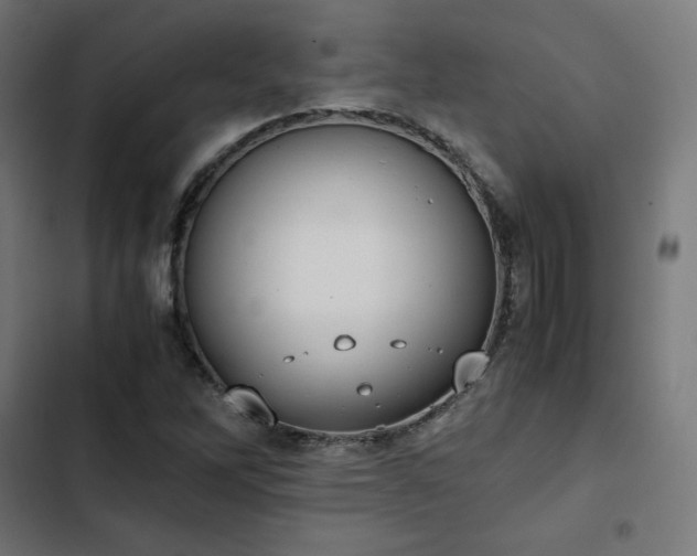 X0000103271262200809051459