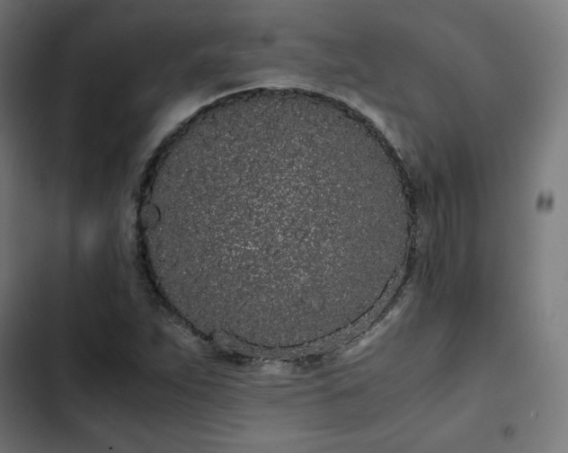 X0000103271263200809051459