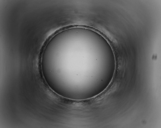 X0000103271264200809051459