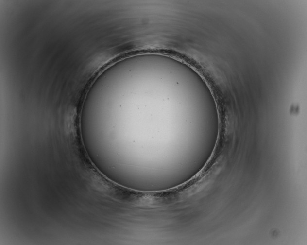 X0000103271265200809051459