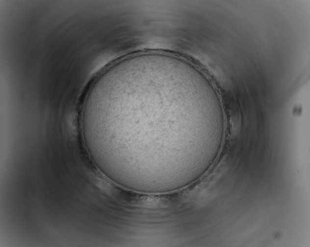 X0000103271266200809051458