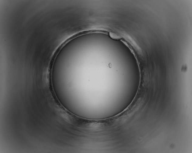 X0000103271268200809051458