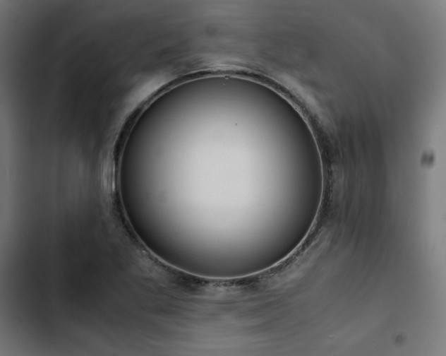 X0000103271269200809051458