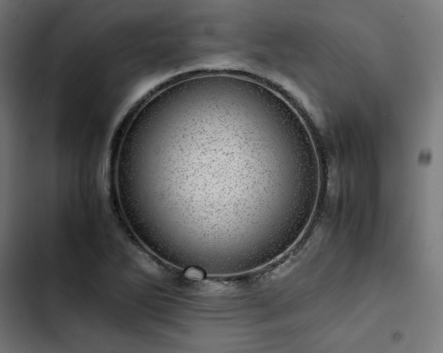 X0000103271270200809051458