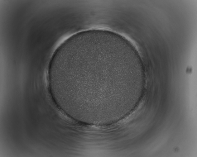 X0000103271271200809051458
