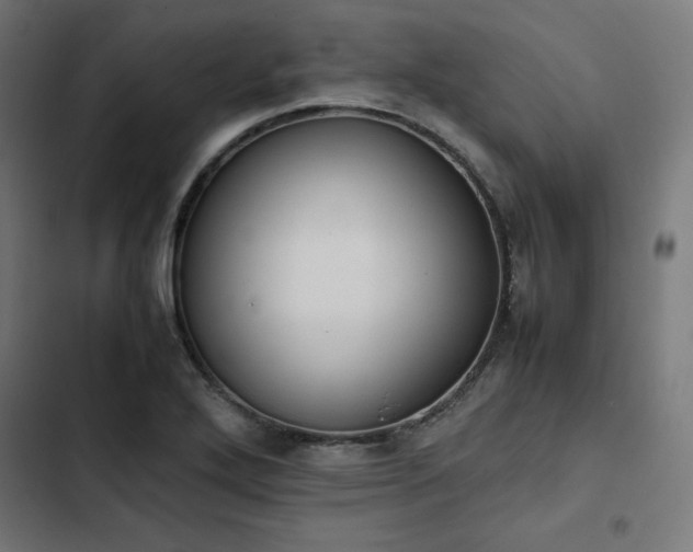 X0000103271272200809051458