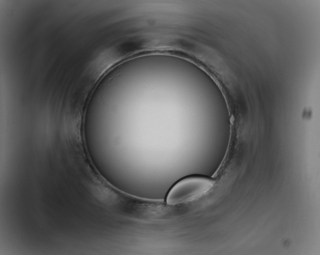 X0000103271273200809051458