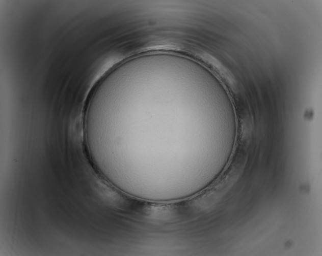 X0000103271274200809051458