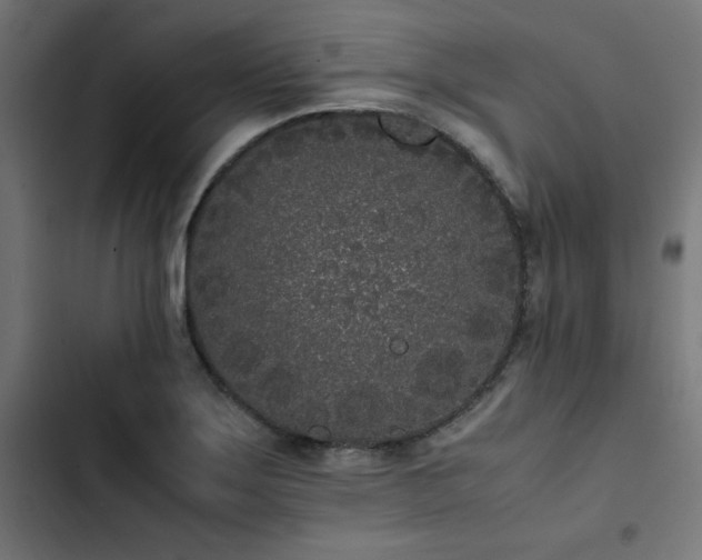 X0000103271275200809051458