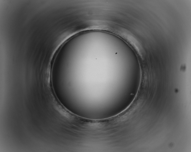 X0000103271276200809051458