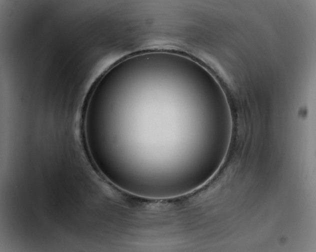 X0000103271277200809051458