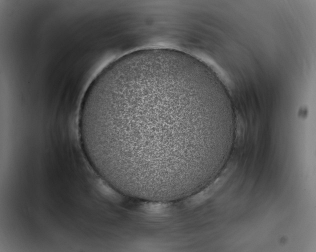 X0000103271278200809051458