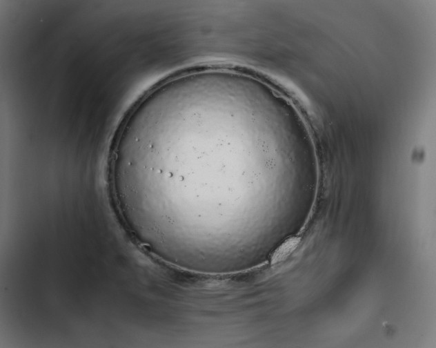 X0000103271279200809051458