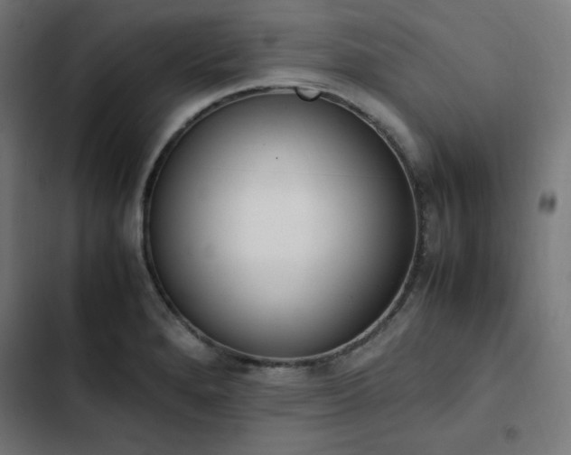 X0000103271280200809051458