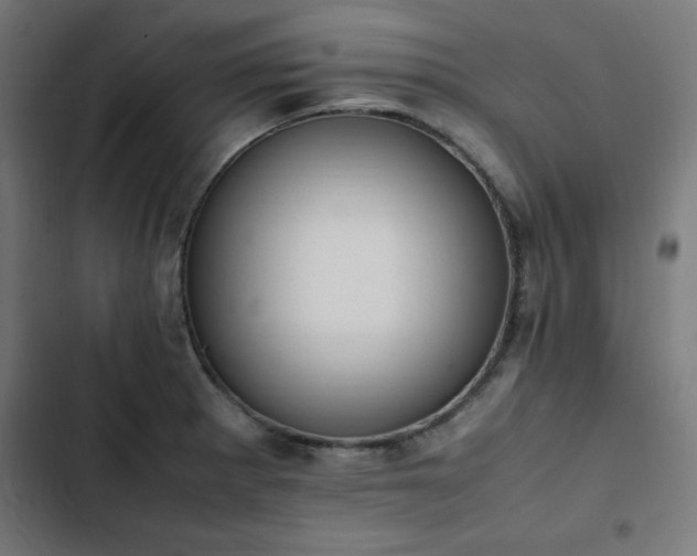 X0000103271281200809051458