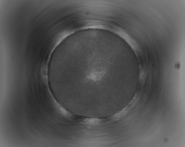 X0000103271282200809051458