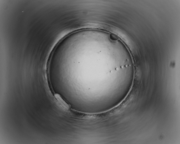 X0000103271283200809051458