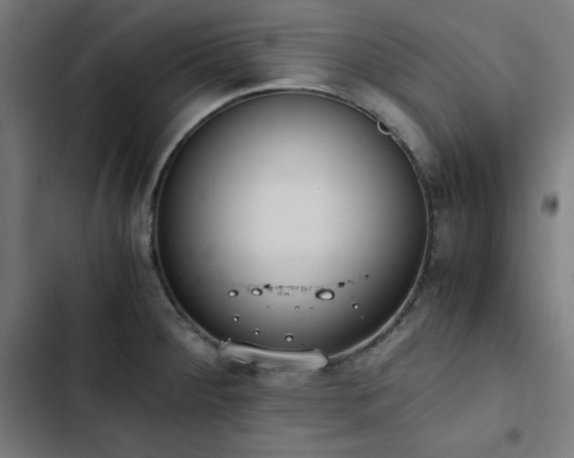 X0000103271284200809051458