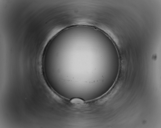 X0000103271285200809051458