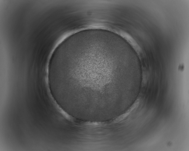 X0000103271286200809051458