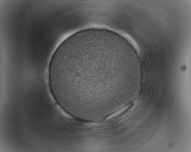 X0000103271287200809051458