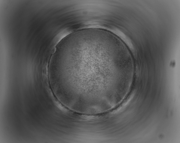 X0000103271289200809051458