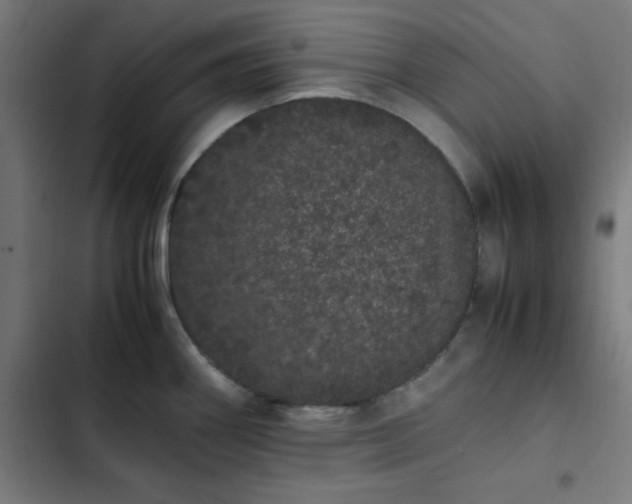 X0000103271290200809051458