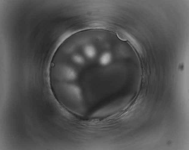X0000103271291200809051458