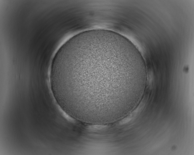 X0000103271294200809051458