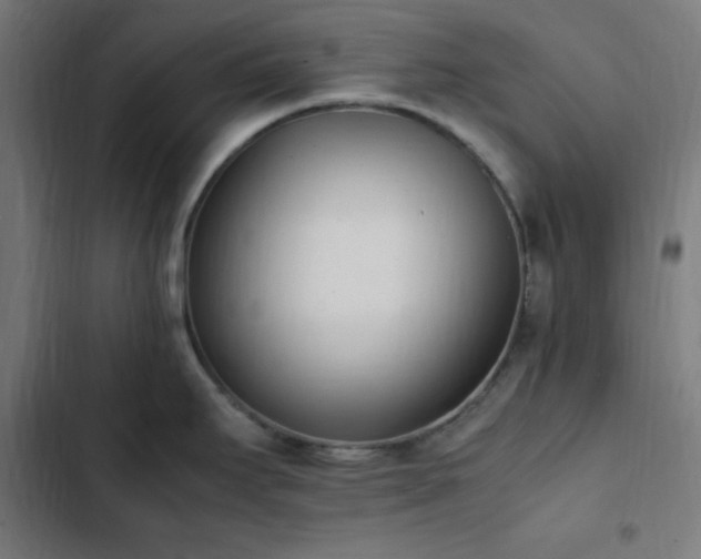 X0000103271295200809051458