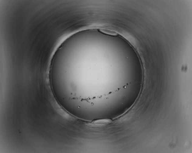 X0000103271296200809051458