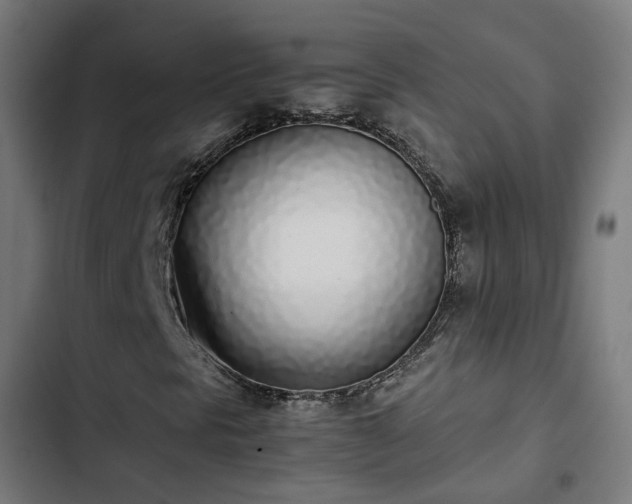X0000103271297200809051457