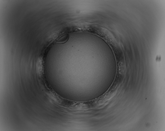 X0000103271298200809051457