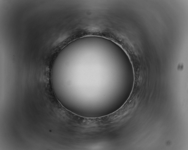 X0000103271301200809051457