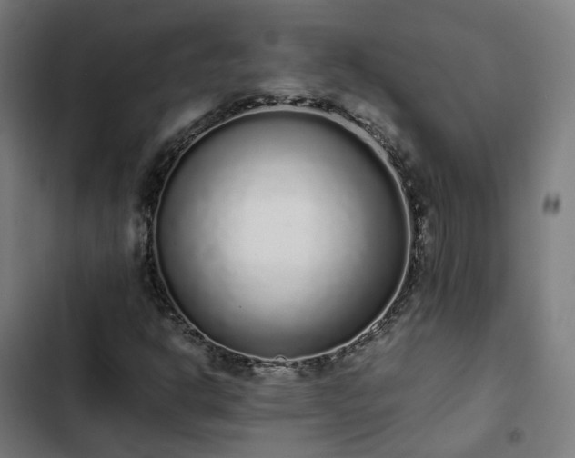 X0000103271302200809051457