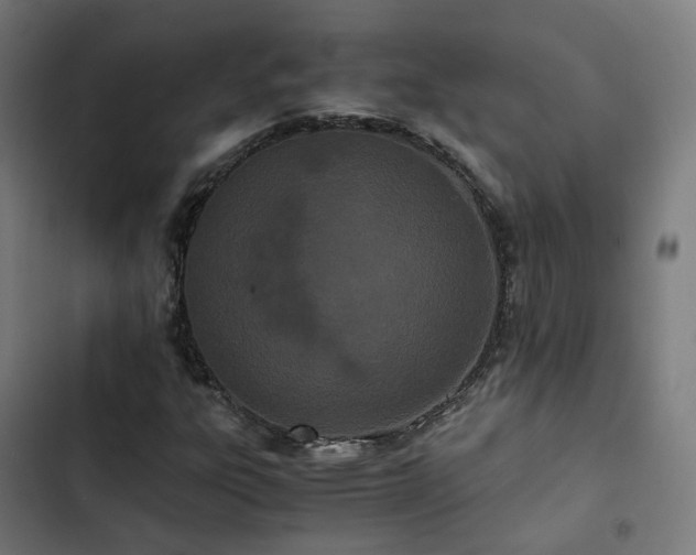X0000103271303200809051457