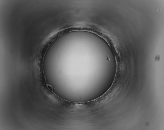 X0000103271304200809051457