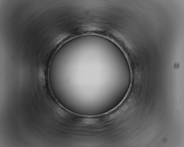 X0000103271305200809051457