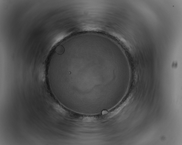 X0000103271306200809051457