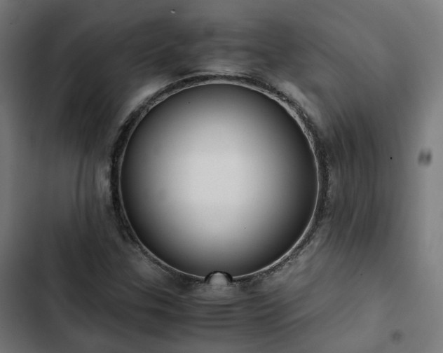 X0000103271307200809051457