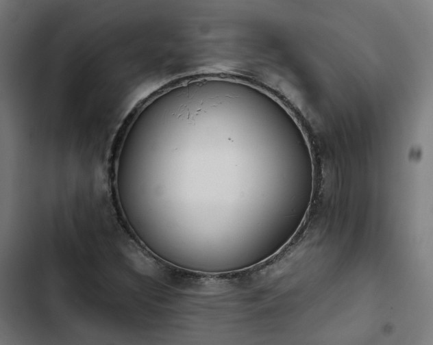 X0000103271308200809051457